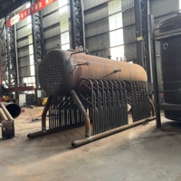 DZH6.0-1.25 Boiler Uap Industri Efisiensi Tinggi 4.5 Ton Berbahan Bakar Biomassa