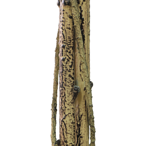 Arbre artificiel <span class=keywords><strong>en</strong></span> plastique de 1,80 m à fleurs de <span class=keywords><strong>cerisier</strong></span> (blanc rose) Sakura japonais, toucher naturel, réaliste, imperméable, pour mariage, intérieur - Product Image 4