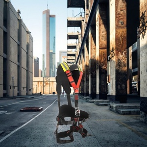 Arnés de Seguridad Personalizable Directo de Fábrica para Trabajo en Altura/Alpinismo/Rescate de Emergencia, Protección Contra Caídas al Por Mayor - Product Image 5