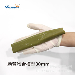 Modèles d'anastomose intestinale de 30 mm et 20 mm - Product Image 4