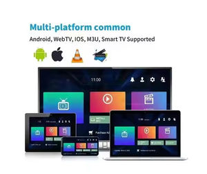 สำหรับโซลูชัน IPTV ราคาประหยัด ช่องสัญญาณกว่า 30000 ช่อง บริการลูกค้า 24/7 พร้อมฟังก์ชัน PVR บันทึกและรับชมทีวีสดได้ทุกเวลา - Product Image 3