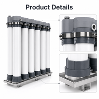 Module de membrane UF personnalisé en lot, à faible pression, facile à entretenir, pour eau pure, module de membrane UF Mfr