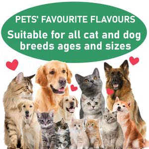 Vente en gros de minéraux de vitamine B à mâcher pour chien, réponse immunitaire saine, activité antioxydante, marque privée, supplément multivitamine pour chien - Product Image 6