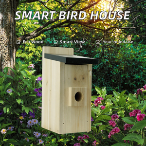 Casetta per Uccelli in Legno Intelligente con Telecamera per Osservazione, Riconoscimento AI e Design Moderno Eco-Friendly - Bestseller - Product Image 5