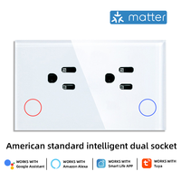 Prise murale intelligente Matter, norme américaine, double alimentation avec Wi-Fi, compatible Alexa, Google Assistant, maison intelligente, Homekit, ABS/verre/plastique
