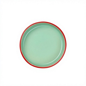 Assiette plate ronde réutilisable de qualité alimentaire, émaillée vert menthe avec bord rouge, design minimaliste, plats et assiettes personnalisables, utilisation en café - Product Image 1