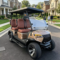 Voiturette de golf électrique alimentée par batterie au lithium pour le transport dans les villas, les centres de villégiature et les sites touristiques, pour utilisation hors route publique, homologuée DOT CE EEC