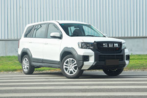 2025 murah Swm rem tangan kiri harimau besar mobil kompak bensin baru dari Tiongkok bensin bekas Suv Swm G03f kendaraan baru untuk dijual - Product Image 2