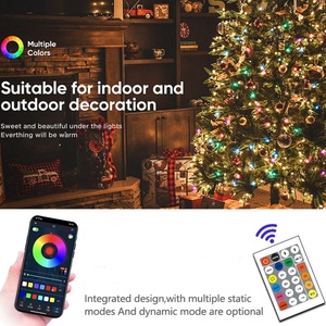 IP65 ABS RGB Smart Decoration LED <b>String</b> <b>Light</b> Outdoor with Remote/APP Control for Christmas - Product Image 2