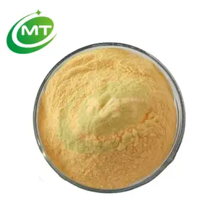 Sampel gratis bubuk ekstrak sel batang oranye kualitas tinggi pasokan pabrik kosmetik kualitas tinggi Harga terbaik 100% alami