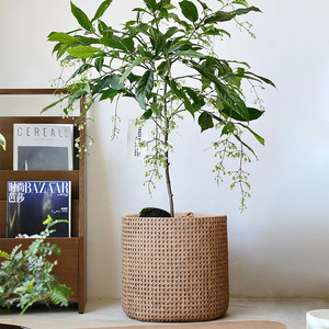 Nouvel arrivage: Panier tissé de <span class=keywords><strong>grand</strong></span> diamètre Pot de fleur <span class=keywords><strong>en</strong></span> ciment Jardinière de jardin <span class=keywords><strong>en</strong></span> <span class=keywords><strong>béton</strong></span> pour salon avec plateau - Product Image 1