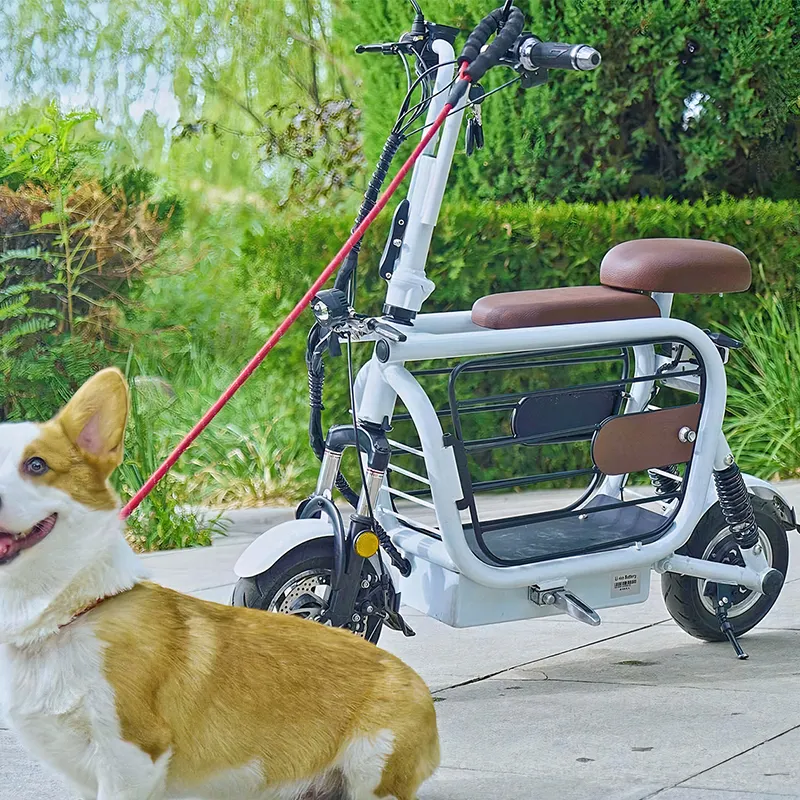 フレンドリーなペットスクーター500wモーター売れ筋Ebike電動自転車犬用キャリア付き