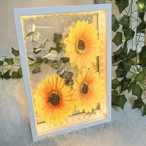 Marco <span class=keywords><strong>de</strong></span> Exhibición con Iluminación LED USB Personalizado, Caja <span class=keywords><strong>de</strong></span> Exhibición Profunda con Luz LED USB para Recuerdos, Obras <span class=keywords><strong>de</strong></span> Arte en 3D, Coleccionables, Regalo Promocional - Product Image 1