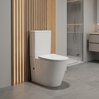Ensemble WC deux pièces à double chasse, à poser au sol, en céramique, économie d'eau, siphon en P, pour usage hôtelier