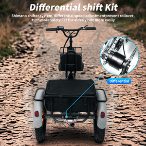 Triciclo da Carico Elettrico di Alta Qualità 2025 Hidoes T2 250w 750w con Batteria al Litio Bici Elettrica Pieghevole Fat Bike Risciò Elettrico - Product Image 6