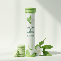 Comprimés Effervescents aux Plantes Chicorée Gardénia Pueraria Feuille de Mûrier Soie de Maïs pour l'Équilibre de l'Acide Urique et le Métabolisme Corporel Adulte 20