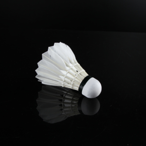 Volants de <span class=keywords><strong>badminton</strong></span> en plumes d'oie à haute durabilité pour les compétitions de <span class=keywords><strong>ligue</strong></span> - Product Image 5