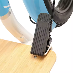 26 Inch 48V 1000W <b>Frame</b> Bike Disc Brakes Scooter <b>Ebike</b> Rear Hub Motor Fat Tire El ARII4 El ARII4 - Product Image 3