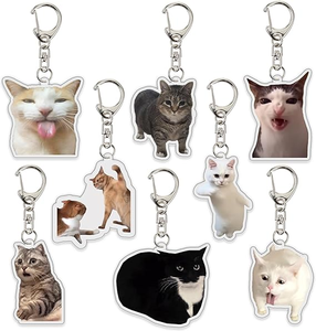 Vente chaude : 8 porte-clés en acrylique légers et imperméables avec des chats mignons, des chats qui parlent, des mèmes de chats - Product Image 1