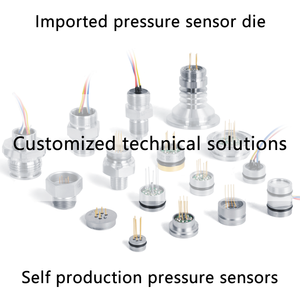 WTSensor CE RoHS REACH OEM ODM 19mm SS316L <span class=keywords><strong>MEMS</strong></span> 기술 오일 워터 가스용 압전 저항 실리콘 압력 센서 - Product Image 3
