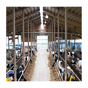 low price prefer farm fast stable assemble galvanized steel structure cow shed building