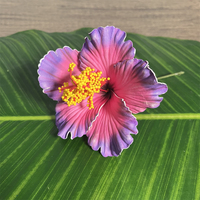 Couronne de fleurs artificielles en mousse Hibiscus Hawaïen pour cheveux, idéale pour mariage et fête