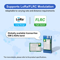 Kit de développement DX-LR43-24M12S, module LoRa SX1281, 2,4 GHz, 12,5 dBm, longue portée 3 km, module émetteur-récepteur RF sans fil, SPI FLRC BLE