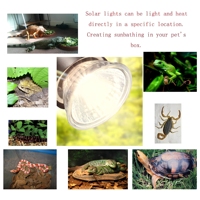 Lámpara Solar de Espectro Completo UVA + UVB, Lámpara de Calor para Reptiles, Dragones Barbudos y Camaleones