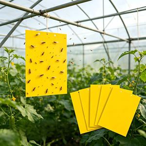 Pièges à <span class=keywords><strong>gel</strong></span> jaunes jetables à forte adhérence, écologiques, faible MOQ pour la gestion des parasites dans les serres, vergers et fermes d'élevage - Product Image 1