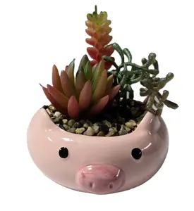 Kunstmatige Vetplanten Indoor Serie Plastic Decoratief Gras Cactus Plant Potten Geschenken En Ambachten