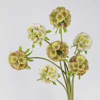 Fleur artificielle de Scabiosa blanche en soie de haute qualité, style européen, faite à la main, pour la maison, les mariages, les remises de diplômes et Thanksgiving