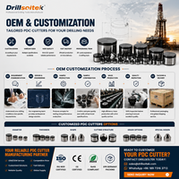 Высокопроизводительные поликристаллические алмазные компактные резцы Drillsoltek для защиты от износа буровых долот PDC