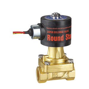 Solénoïde standard haute température en plastique RSPS-20N IP 65 AC 220V DC24V - Product Image 1