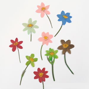 Natürliche echte getrocknete gepresste Blumen Blätter bunt gepresste Bono Blume Diy Kerze Dekoration Harz Schmuck Anhänger - Product Image 5