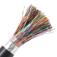 Cable de teléfono de comunicaciones vertical de categoría 3 10 pares 50 pares 300 pares 500 pares 24AWG Cable de teléfono exterior