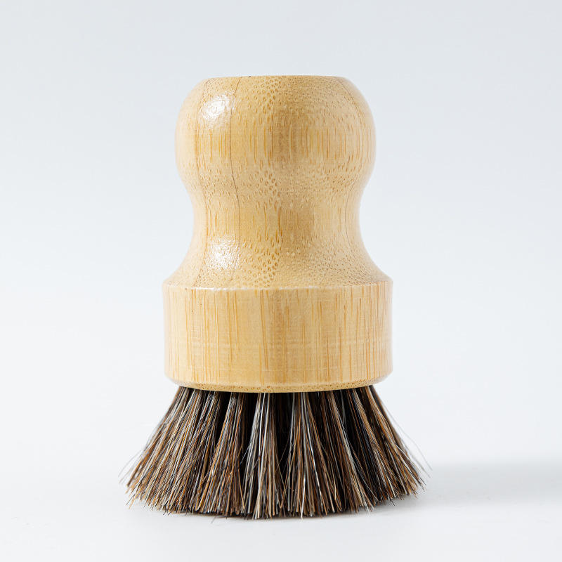 Phyllostachys pubescens และ horsehair