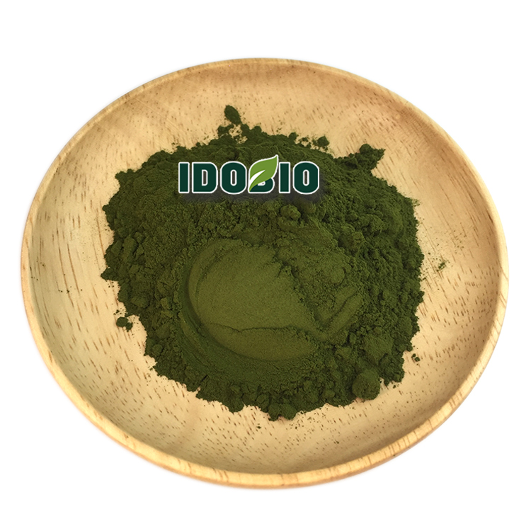 Афанизоменон flos-aquae (AFA)/сине-зеленые водоросли, цианобактерия