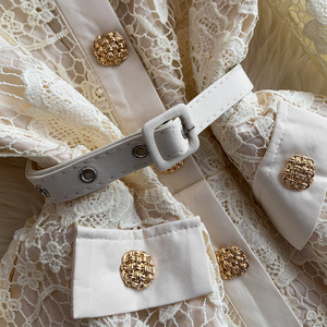 Abito con risvolto in pizzo stile principessa francese abito da donna autunno lusso in metallo con cintura a pieghe per uno stile elegante - Product Image 4
