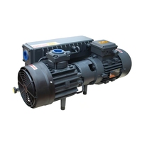 DLT V0040A Drehschieber-Vakuumpumpe 40m³/h 2PS Eisen Niederdruckbearbeitung OEM Kundenspezifische Spannung 380V 3-Phasen 1 Jahr Garantie