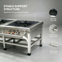 Cuisinière à gaz commerciale en acier inoxydable à double brûleur, vente chaude, qualité garantie par le fabricant