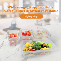 DaoSheng 1/2 Commercial En Plastique Polycarbonate Restauration Alimentaire Buffet De Fruits Servir Conteneurs De Stockage Transparent GN Alimentaire Casseroles