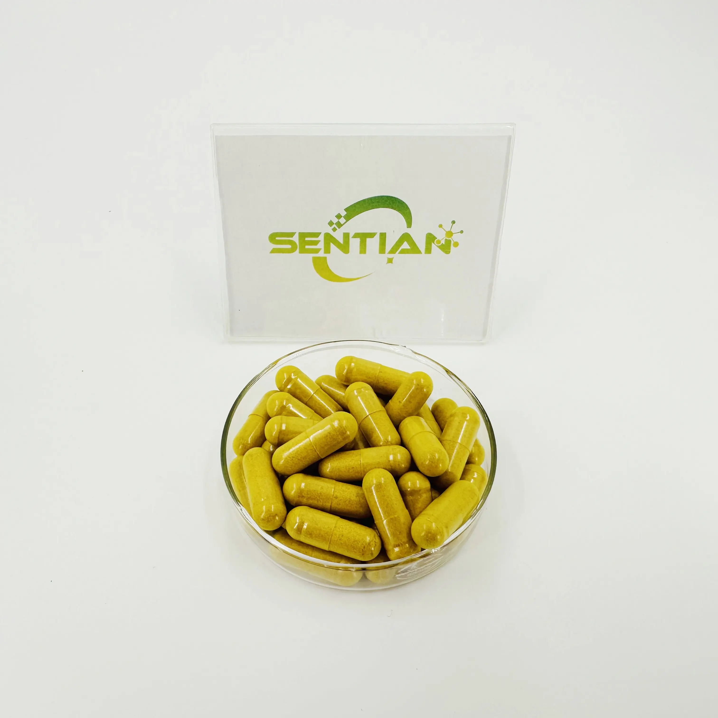 Berberine özü 500mg kapsül berberin takviyeleri berberin takviyeleri