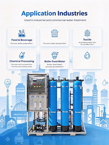 Máquina de Purificación de Agua por Ósmosis Inversa Industrial de 250 LPH, 500 LPH, 1000 LPH, Equipo Comercial para Tratamiento de Agua - Product Image 6