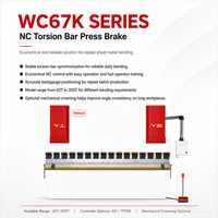 Prensa Plegadora Hidráulica de Barra de Torsión Totalmente Automática WOTIAN WC67K 80T TP10s NC y Máquina Dobladora de Chapa Metálica