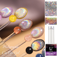Vernis gel holographique oeil de chat magnétique paillettes 9d aimant acrylique vernis à ongles nuancier