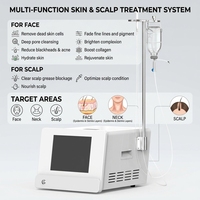 Appareil Jet Peel pour le visage, nettoyage en profondeur des pores, infusion de nutriments pour le cuir chevelu et les racines des cheveux, gestion de la peau par jet d'eau oxygénée haute pression