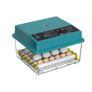 Nouveau design de mini incubateurs et machine à couver de couleur verte 36 œufs de poule <span class=keywords><strong>Couveuse</strong></span> à œufs entièrement <span class=keywords><strong>automatique</strong></span> - Product Image 3