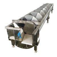 Machine à Abattre les Poulets en Spirale de Taille King en Usine de Transformation de la Volaille