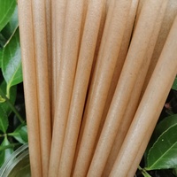 Pailles en bagasse de canne à sucre durables, pailles à boire compostables à base de plantes pour café, jus, café, fournisseur en gros