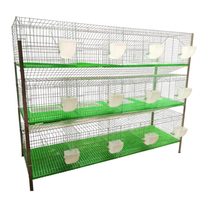 Cage d'élevage de lapins robuste galvanisée à chaud, usage commercial, montage et nettoyage faciles